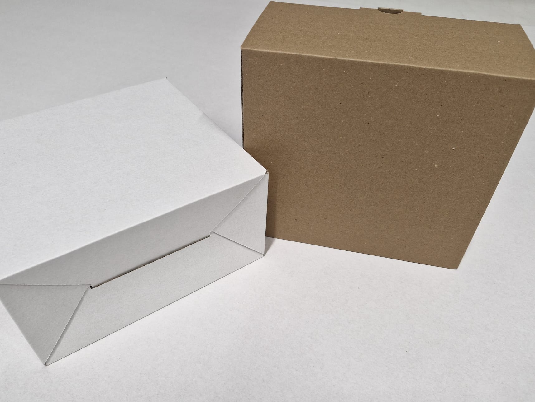 0215 Vouwdoos zweedse bodem